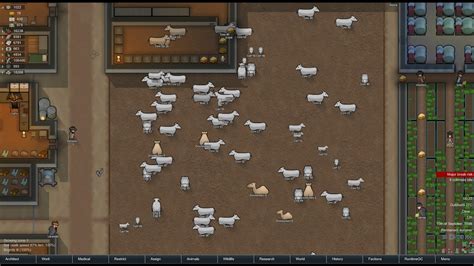 rimworld best food for animals.
